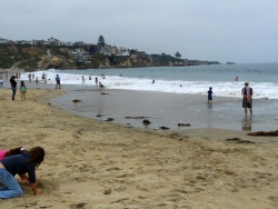 Big Corona Beach